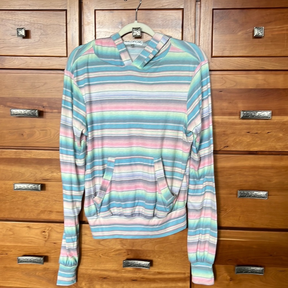 Wildfox Serape Stripe Hoodie
